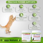 Trulysine L-Lysine for Cats Immune Support Oral Powder 4oz/100g - Cats & Kittens of All Age, Sneezing, Runny Nose Squinting, Watery Eyes - Fish & Poultry Flavor (U.S.A)(100 Grams ( 500mg / Scoop)) - Image 5