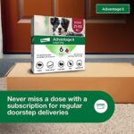 Advantage II Large Dog Vet-Recommended Flea Treatment & Prevention | Dogs 21-55 lbs. | 6-Month Supply - Image 8