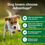 Advantage Dog Flea Treatment Spray | Kills Fleas & Ticks | Dog Flea Spray | 15 oz. - Image 3