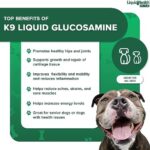 LIQUIDHEALTH 32 Oz K9 Liquid Glucosamine for Dogs, Puppies and Senior Canines - Chondroitin, MSM, Hyaluronic Acid – Joint Health, Dog Vitamins Hip Joint Juice, Dog Joint Oil (2-Pack) - Image 4