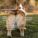 Native Pet WonderGland - Dog Anal Gland Treatment Using Fiber for Dogs - Prevents Scooting for Dogs Anal Gland Supplement Including Dog Gut Health Probiotics for Anal Gland Support - 60 Scoops - Image 2