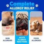 Probiotics for Dogs - Support Gut Health, Itchy Skin, Allergies, Immunity, Yeast Balance - Dog Probiotics and Digestive Enzymes with Prebiotics - Reduce Diarrhea, Gas - 180 Probiotic Chews for Dogs - Image 3