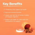 Open Farm Probiotic Chews, Dog Supplement, Dog Vitamins, Supports Normal Flora and Bowel Movement Using Traceable and Vet-Approved Ingredients, 12.7 oz, 90 Count - Image 4
