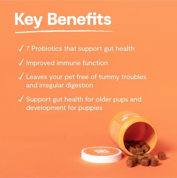 Open Farm Probiotic Chews, Dog Supplement, Dog Vitamins, Supports Normal Flora and Bowel Movement Using Traceable and Vet-Approved Ingredients, 12.7 oz, 90 Count - Image 4