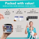 Probiotics for Cats & Dogs : Probiotic Miracle : Bowel & Gut Support : Digestive Health : Stop Diarrhea, Loose Stool - Image 4