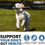 Probiotics for Dogs and Digestive Enzymes - 170 Dog Probiotics Chews - Dog Probiotic - Anti Diarrhea, Upset Stomach & Gas Relief, Canine Prebiotic - Pet Fiber Supplement - Bacon Flavor - Image 4