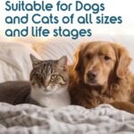 Recommended by Veterinarians Because it Simply Works Better. ioVet Oral Pet Water additive effortlessly Helps Your pet to The Clean, Healthy Mouth & Dazzling Fresh Breath You've Always Hoped for. - Image 7