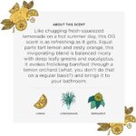 Poo-Pourri Before-You-Go Toilet Spray, Original Citrus, Refill Bottle 16 Fl Oz - Lemon, Bergamot and Lemongrass - Image 4