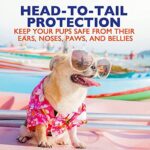 EBPP Dog Sunscreen Sun Skin Protector Spray 8 fl oz - Safe for All Breeds with No Zinc Oxide - Pet Protection and Moisturizer for Skin, Coat, Nose, Ears - Image 5