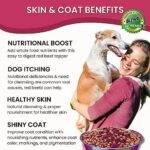 Olewo Original Red Beets for Dogs – Natural Anti Itch for Dogs, Dog Food Topper, Immune, Cleansing, Skin & Coat Support, Dehydrated Whole Food Dog Multivitamin, Fiber for Dogs, 1 lb - Image 5