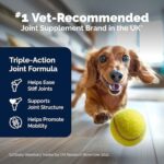 Hip and Joint Supplement for Dogs with Glucosamine, Chondroitin, Omega 3, Hyaluronic Acid, & Green Lipped Mussel - Dog Joint Supplement - for Adult Dogs 60 Tablets - Image 3