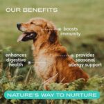 Native Pet Colostrum for Dogs – Bovine Colostrum Powder – Allergy Relief, Immune Support & Itchy Skin Treatment – Dog Multivitamins for Skin & Gut Health – Puppy Milk Replacement & Prebiotic -120 ct. - Image 2