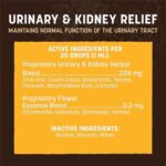 Earth Animal Herbal Remedies | Urinary and Kidney Relief | 2 fl oz - Image 4