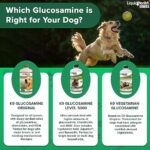 LIQUIDHEALTH 32 Oz K9 Liquid Glucosamine for Dogs, Puppies and Senior Canines - Chondroitin, MSM, Hyaluronic Acid – Joint Health, Dog Vitamins Hip Joint Juice, Dog Joint Oil (2-Pack) - Image 7