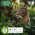 Natural Flea & Tick Collar for Cats - 12 Months Control of Best Prevention & Safe Treatment - Anti Fleas and Ticks Essential Oil Repellent (2 Pack) - Image 3