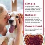 Olewo Original Red Beets for Dogs – Natural Anti Itch for Dogs, Dog Food Topper, Immune, Cleansing, Skin & Coat Support, Dehydrated Whole Food Dog Multivitamin, Fiber for Dogs, 1 lb - Image 8
