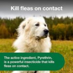 Advantage Dog Flea Treatment Spray | Kills Fleas & Ticks | Dog Flea Spray | 15 oz. - Image 7