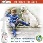 Premo Guard Pet Protector Spray - 32 oz - Kills Mites, Fleas, Ticks, & Mosquitoes - for Dogs, Cats, & Home - Natural Plant Based Oils for Control, Prevention & Treatment - Family Safe - Image 3