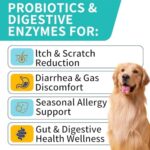 Probiotics for Dogs, Improve Itchy Skin Itchy Ears, Gut Health, Yeast Balance, Allergies, Immunity, Dog Probiotics and Digestive Enzymes with Prebiotics, Reduce Diarrhea (180 Chews, Steak) - Image 2