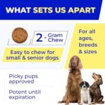 Pet Probiotics for Dogs & Digestive Enzymes for Dogs | Gut Health & Digestive Function Support | Pumpkin & Omega | Prebiotic Supplement Chews - Image 6