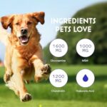 Premium Liquid Glucosamine for Dogs Strength Joint Support, Flexibility, Cartilage & Mobility - Hip and Joint Supplement with Chondroitin, MSM, Collagen & Hyaluronic Acid (32 Oz) - Image 5