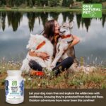 Only Natural Pet Brewer's Yeast & Garlic Chewables - All-Natural Flea & Tick Prevention for Dogs - Fortified with B Vitamins - Promotes Healthy Skin & Coat - 300 Count Tablet (2 Pack) - Image 7