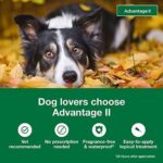 Advantage II Large Dog Vet-Recommended Flea Treatment & Prevention | Dogs 21-55 lbs. | 6-Month Supply - Image 3