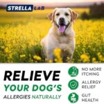 StrellaLab Dog Allergy Relief & Anti Itch Support Chews w/Omega 3: Real Ingredients, Real Taste! Skin & Coat Immune Supplement w/Fish Oil, Pumpkin & Enzymes — Developed by Experts - Made in USA -240Ct - Image 4