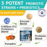 Probiotics for Dogs, Improve Itchy Skin Itchy Ears, Gut Health, Yeast Balance, Allergies, Immunity, Dog Probiotics and Digestive Enzymes with Prebiotics, Reduce Diarrhea (180 Chews, Steak) - Image 3