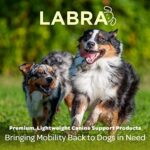 Labra Dog Canine Front Leg Compression Brace Wrap Sleeve, Protects Wounds, Braces, Heals, and Prevents Injuries and Sprains, Helps with Loss of Stability Caused by Arthritis - Large/Extra Large - Image 6