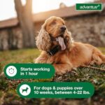Advantus Dog Advantus Chewable Flea Treatment for Dogs 4 - 22 lbs. | 30 ct. - Image 5
