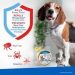 Flea & Tick Collar Plus for Dogs & Puppies |2 Pack |12-Month Protection |One Size Fits All Dogs & Puppies 12 Weeks and Older |Kills Fleas and Ticks |Repels Mosquitoes (excluding California) - Image 3
