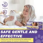 Cat Calming Diffuser Refill, 8 Pack Pheromones for Cats Multicat Diffuser Plug in Refill Pheromone to Calm Cats Soothing Feline Anxiety Stress 48ml Each Fit All Common Diffusers - Image 5