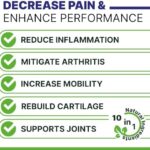 Advanced Hemp Hip & Joint Supplement for Dogs - Glucosamine for Dogs - Dog Joint Pain Relief Treats - Chondroitin Turmeric MSM Hemp Oil - Hemp Treats for Joint Health - Senior Mobility Support Chew - Image 2