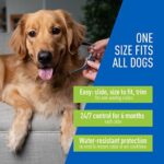 Flea & Tick Collar Plus for Dogs & Puppies |2 Pack |12-Month Protection |One Size Fits All Dogs & Puppies 12 Weeks and Older |Kills Fleas and Ticks |Repels Mosquitoes (excluding California) - Image 4
