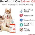 Salmon Oil for Dogs - Healthy Skin & Coat, All Natural Norwegian Fish Oil Food Supplement for Pets, Omega 3 EPA DHA, Ideal for Shedding, Allergy, Itching, Dry Skin, Joint & Bone Health - 16.9 Oz - Image 2