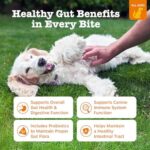 Zesty Paws Probiotics for Dogs - Digestive Enzymes for Gut Flora, Digestive Health, Diarrhea & Bowel Support - Clinically Studied DE111 - Dog Supplement Soft Chew for Pet Immune System - Adv, 90ct - Image 2