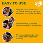 Natural Flea & Tick Collar for Cats - 12 Months Control of Best Prevention & Safe Treatment - Anti Fleas and Ticks Essential Oil Repellent (2 Pack) - Image 7