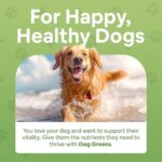 Superfood Multivitamin Powder - Dog Vitamins and Supplements, Organic Kelp, Spirulina, Sea Moss for Homemade Food, Kibble and Raw Meals, Energy, Immune, Joint & Skin Support for All Ages - Image 2