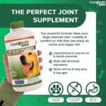 LIQUIDHEALTH 32 Oz K9 Liquid Glucosamine for Dogs, Puppies and Senior Canines - Chondroitin, MSM, Hyaluronic Acid – Joint Health, Dog Vitamins Hip Joint Juice, Dog Joint Oil (2-Pack) - Image 3