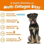 Zesty Paws Multi Collagen Soft Chews for Dogs - for Hip, Joint & Cartilage Support + Skin Health - with Collagen - Plus Eggshell Membrane, Vitamin C & Hyaluronic Acid - 90 Count - Image 2