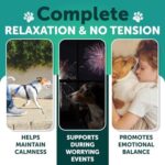 Hemp Calming Chews for Dogs - Dog Calming Chews - Dog Anxiety Relief Treats with Hemp Oil, Turmeric, Valerian, Ginger - Health and Wellness Supplements for Dogs - Hip and Joint Support - 120 Treats - Image 2