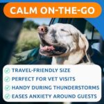 BARK&SPARK Advanced Calming Hemp Treats for Dogs - Hemp Oil + Melatonin - Anxiety Relief - Separation Aid - Stress Relief During Fireworks, Storms - Aggressive Behavior, Barking - 60Chews - Image 3