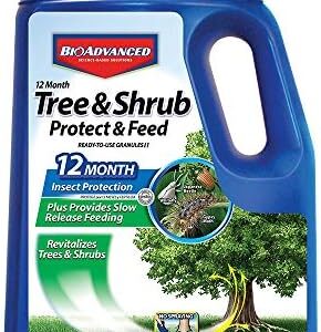 BioAdvanced 12-Month Tree and Shrub Protect & Feed, Insect Killer and Fertilizer, 10-Pound, Granules 701720A