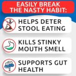 NO Poo Treats - Prevent Dog Poop Eating - Coprophagia Treatment - Stool Eating Deterrent - Probiotics & Enzymes - Digestive Health + Breath Aid - Made in USA - 180 Chews - Image 2