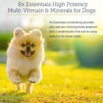 Rx Vitamins Essentials for Dogs - Daily Dog Multivitamin Powder - with Blue Spirulina for Dogs, Kelp Powder, and Milk Thistle for Dogs - Complete Dog Vitamins and Essential Minerals - 8 oz - Image 3