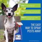 Plus Flea & Tick Spray with Precor For Dogs and Cats; Kills Fleas, Flea Eggs, Flea Larvae, Ticks, and Repels Mosquitoes For Up To 2 Weeks; Controls Flea Reinfestation For Up To 2 Months; 16 Oz - Image 4
