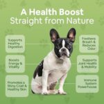 Superfood Multivitamin Powder - Dog Vitamins and Supplements, Organic Kelp, Spirulina, Sea Moss for Homemade Food, Kibble and Raw Meals, Energy, Immune, Joint & Skin Support for All Ages - Image 4