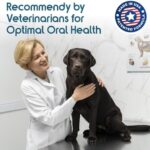 Recommended by Veterinarians Because it Simply Works Better. ioVet Oral Pet Water additive effortlessly Helps Your pet to The Clean, Healthy Mouth & Dazzling Fresh Breath You've Always Hoped for. - Image 4