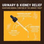 Earth Animal Herbal Remedies | Urinary and Kidney Relief | 2 fl oz - Image 2